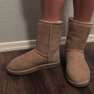 UGG Boot Classic Short in Chestnut